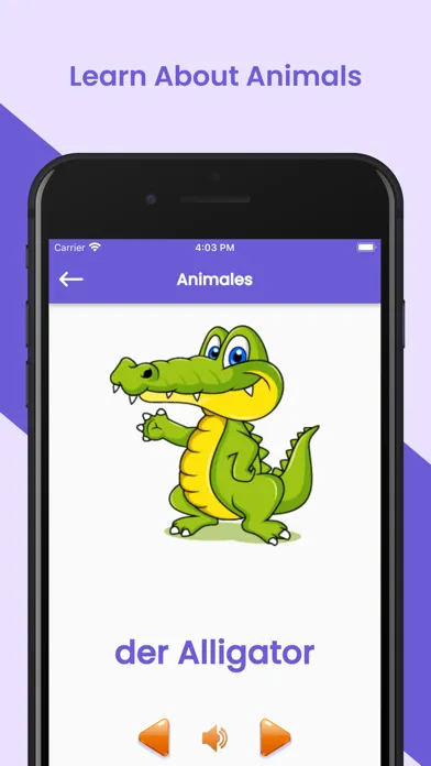 ภาพหน้าจอของ German for kids and beginners