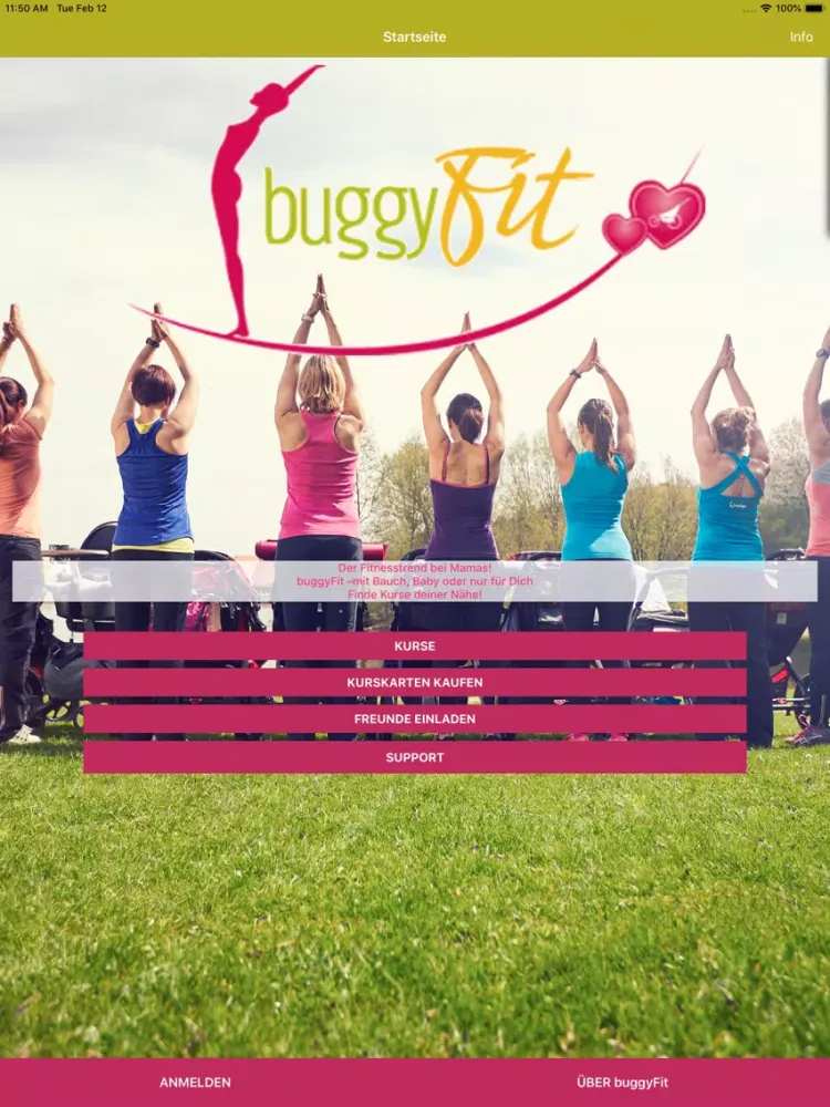 Tangkapan skrin buggyFit iPad 