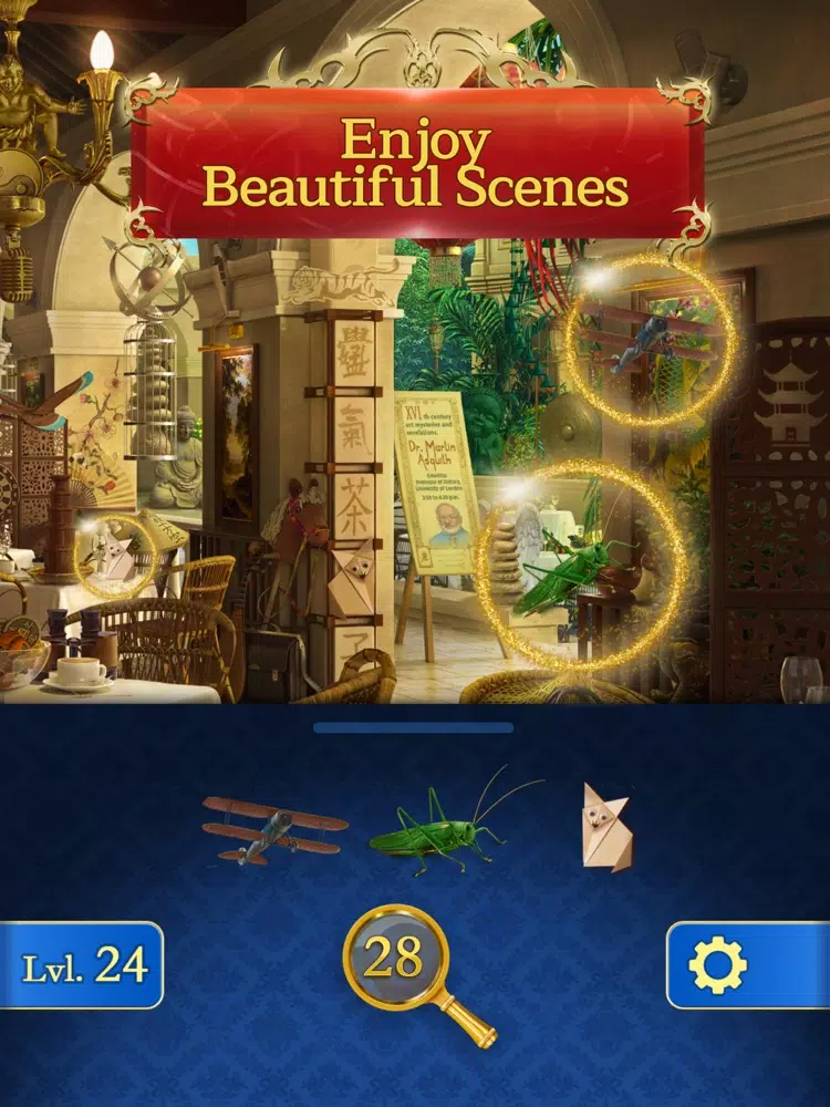 Hidy - Find Hidden Objects iPad 应用截图