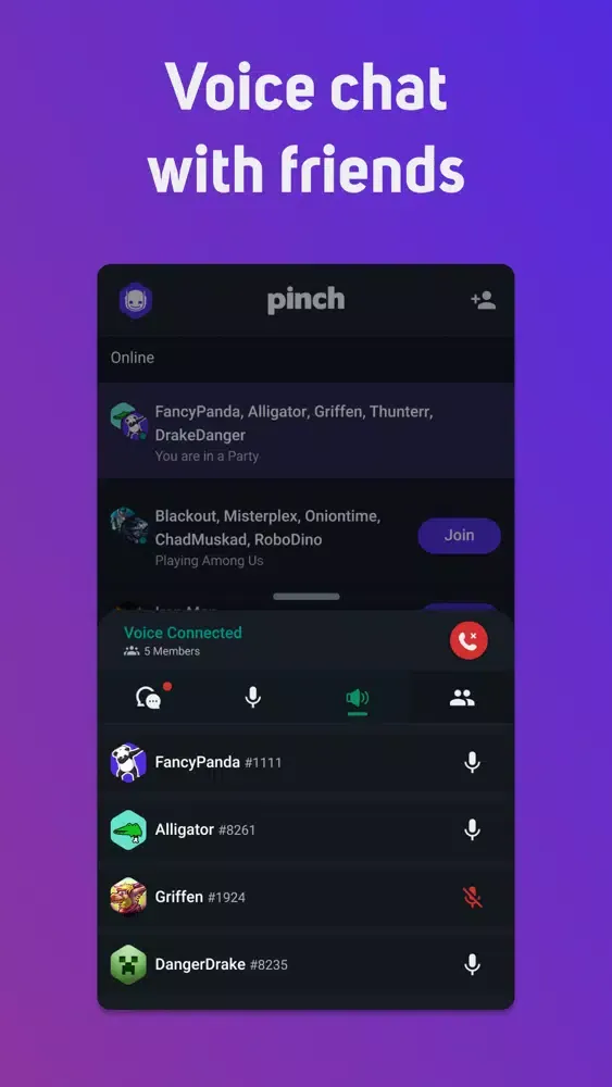 Pinch - Voice Chat for Gamers Ekran Görüntüleri