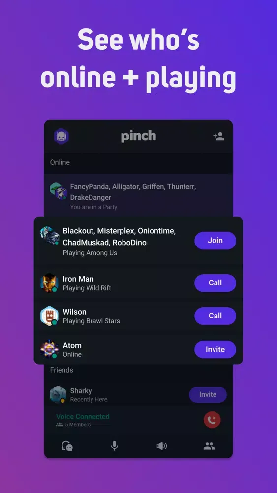 Pinch - Voice Chat for Gamers Ekran Görüntüleri