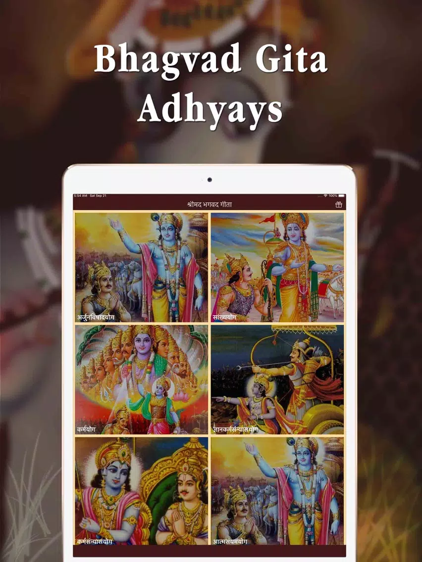 Full Bhagavad Gita MP3 iPad  Ekran Görüntüleri