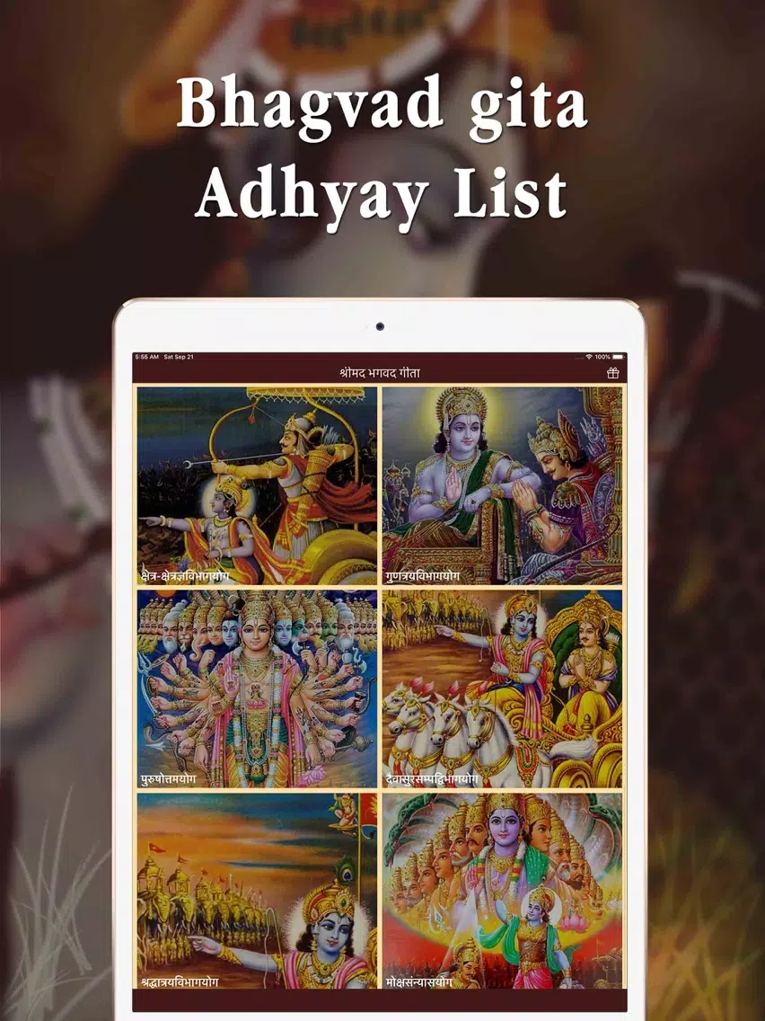Full Bhagavad Gita MP3 iPad  Ekran Görüntüleri
