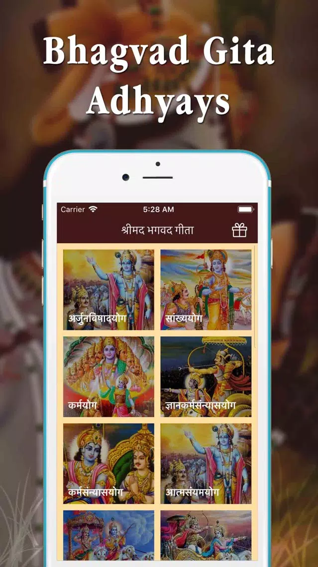 Full Bhagavad Gita MP3 Ekran Görüntüleri