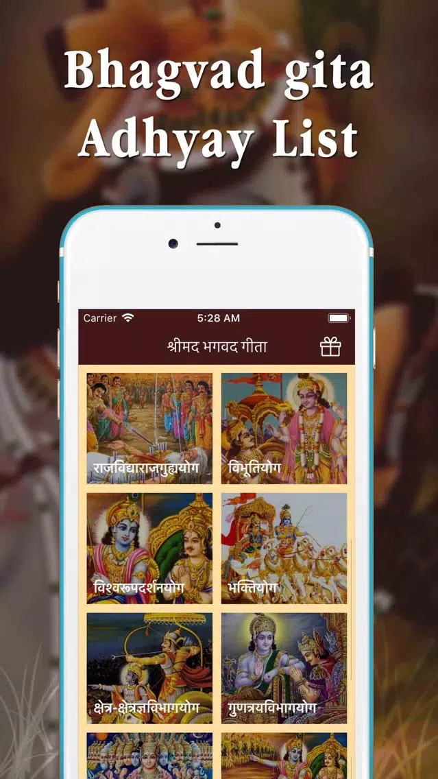 Full Bhagavad Gita MP3 Ekran Görüntüleri