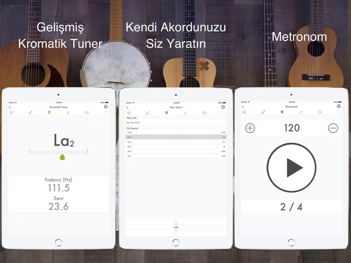 Zrzuty ekranu Gitar, Bas ve Ukulele Tuner iPad