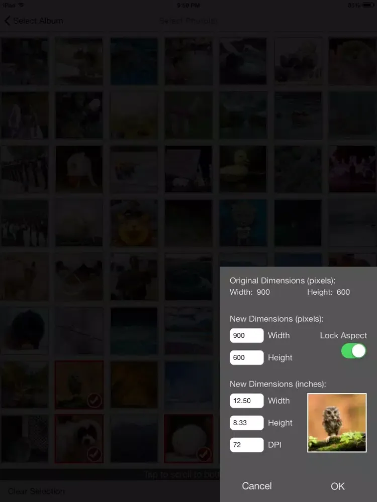 iResize iPad  Screenshots