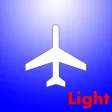What the plane light