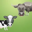 Cows & Bulls.
