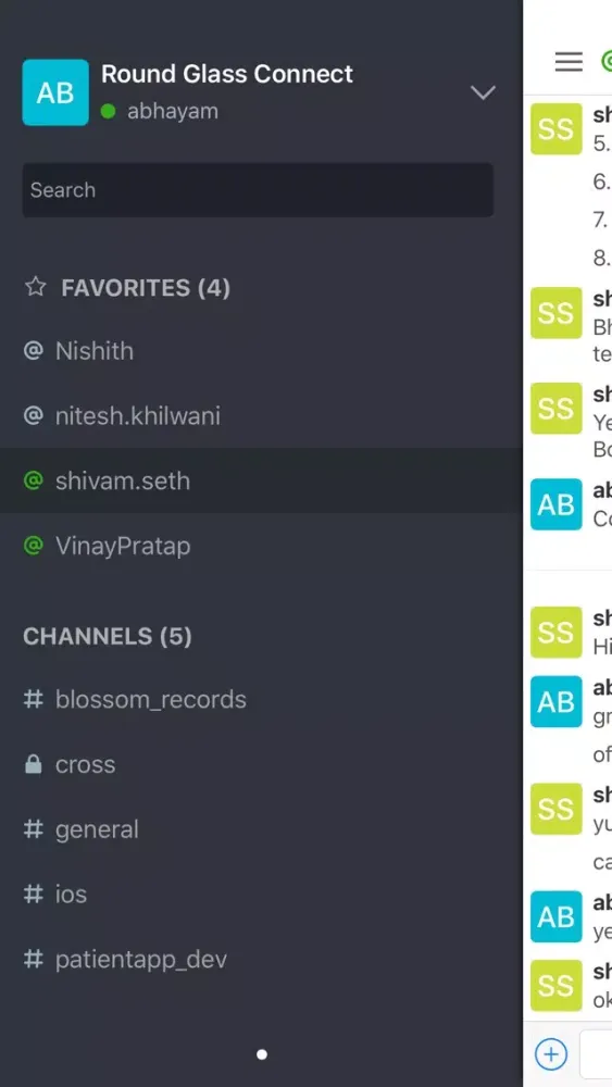 Screenshot di RGConnect