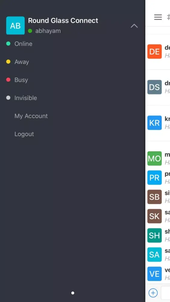Screenshot di RGConnect