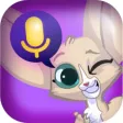 Haki - Voice Chat Rooms Haki - Voice Chat Rooms