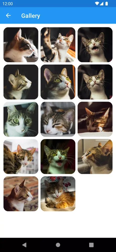 Screenshot di GIF Camera