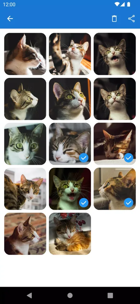 Screenshot di GIF Camera
