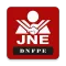 JNE Fiscalización FLV
