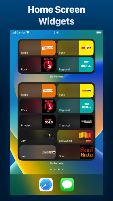 صور BluRemote - BluOS Controller
