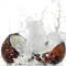 Coconut Wallpapers