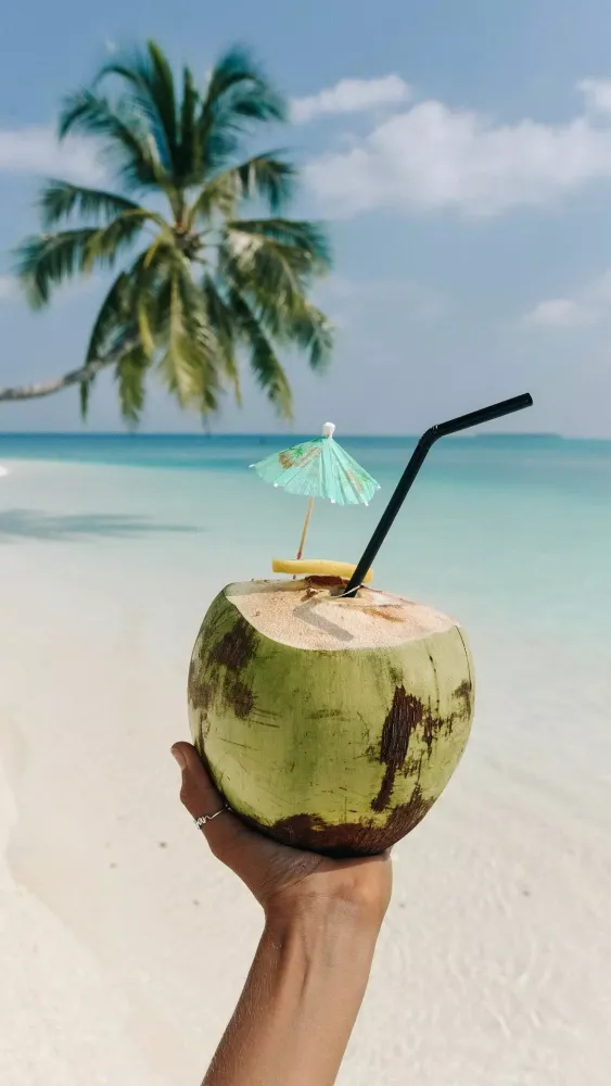 Captures d'écran de Coconut Wallpapers