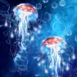 Jellyfish Wallpapers