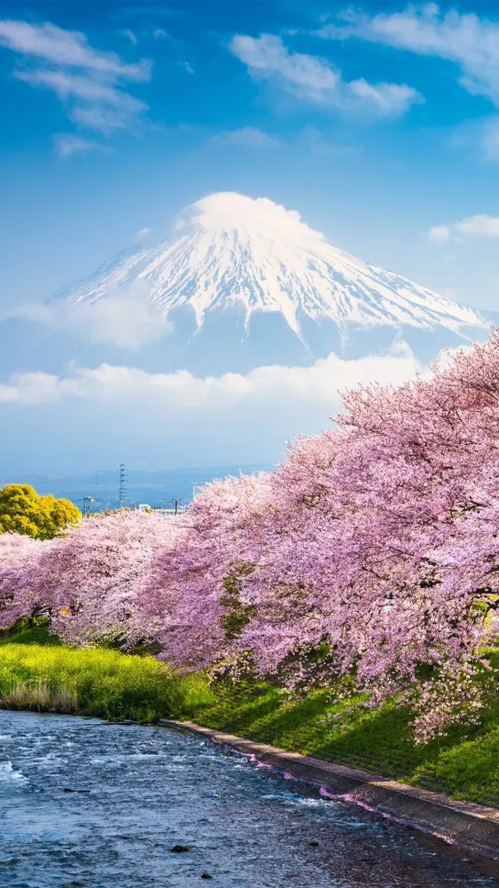 Mount Fuji wallpapers Screenshots