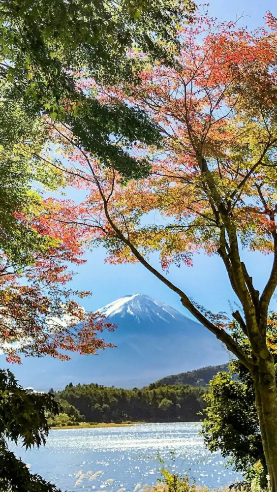 Mount Fuji wallpapers Screenshots