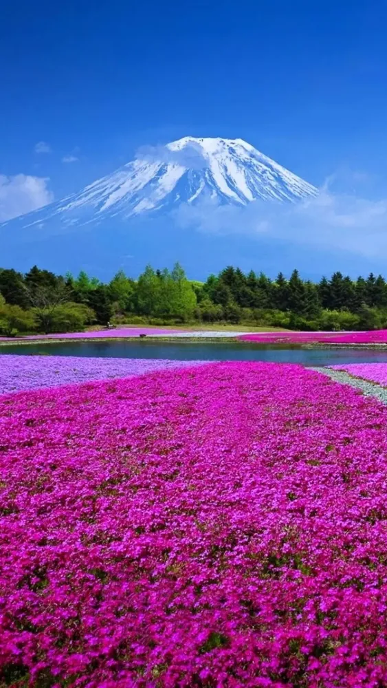 Mount Fuji wallpapers Screenshots