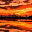 Orangish Wallpapers