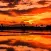Orangish Wallpapers