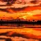 Orangish Wallpapers