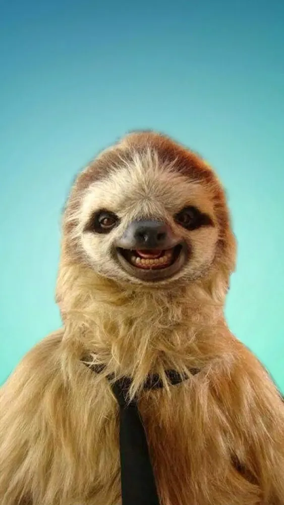 Sloth Wallpapers Ekran Görüntüleri