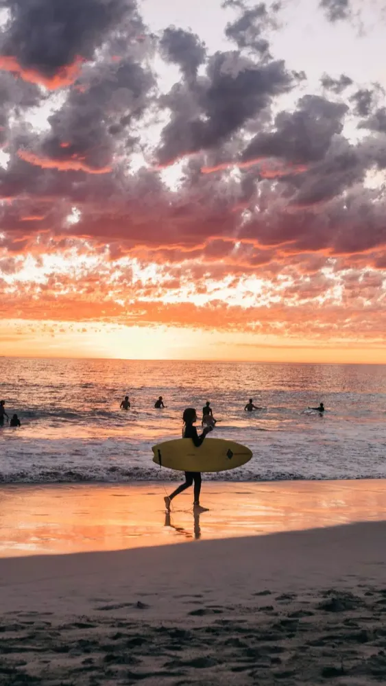 Surfing Wallpapers Screenshots