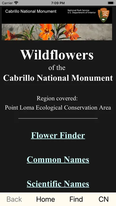صور CNM WildFlowers