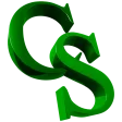CSEntry CSPro Data Entry