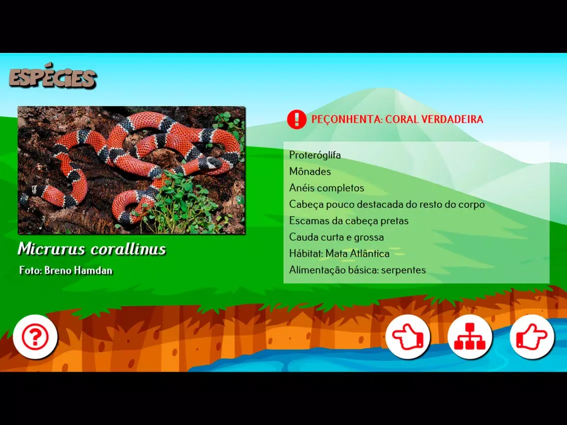 Capturas de pantalla de Cobra Coral iPad 