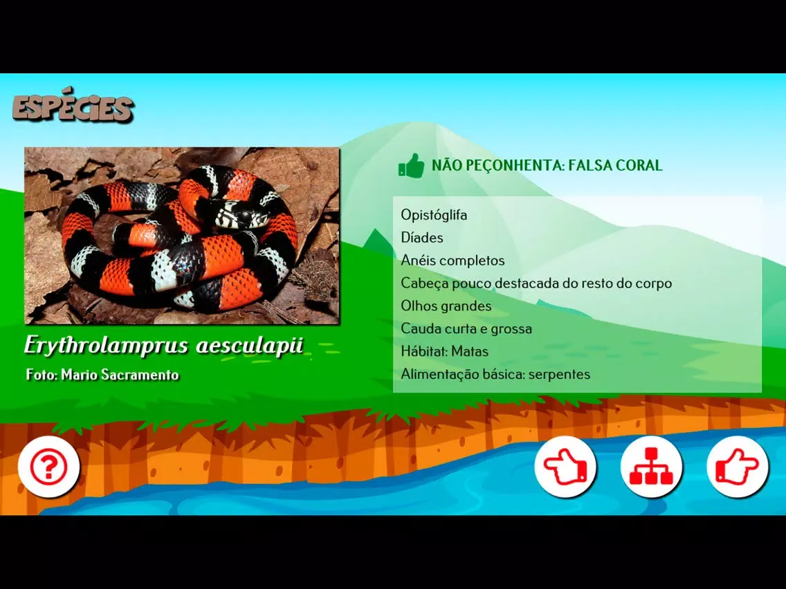 Capturas de pantalla de Cobra Coral iPad 