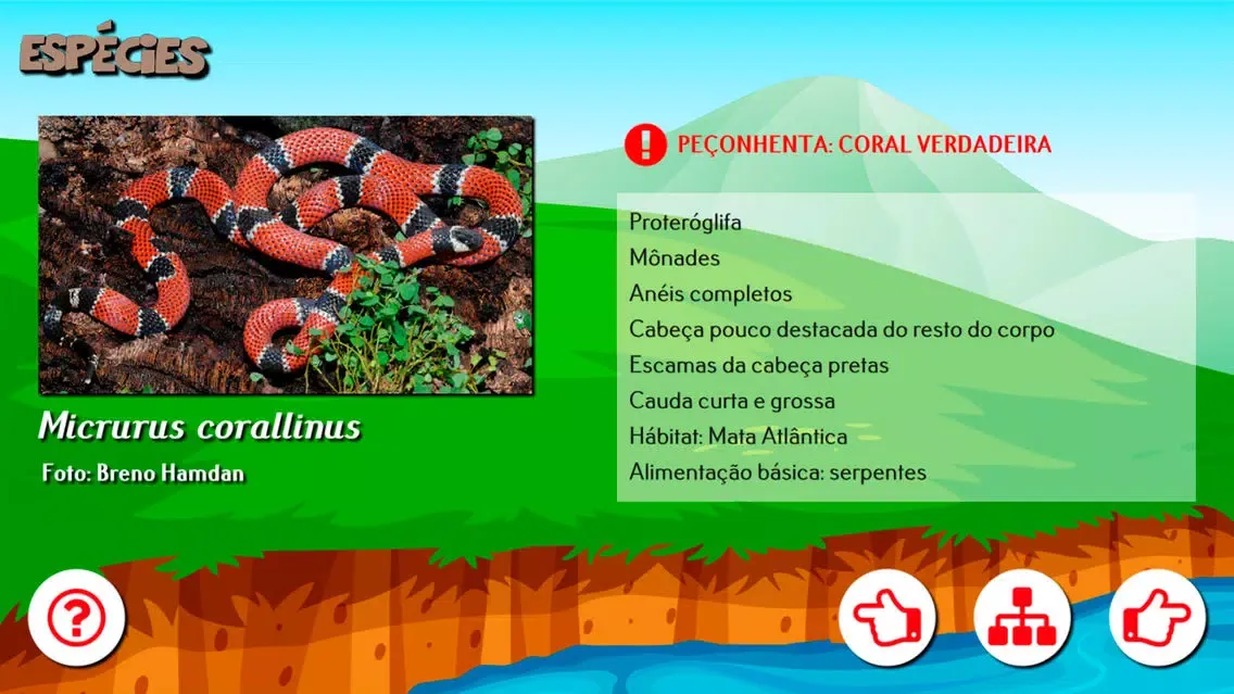 Capturas de pantalla de Cobra Coral