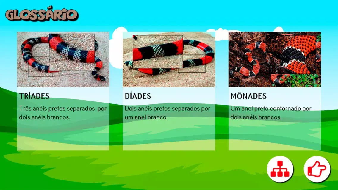 Capturas de pantalla de Cobra Coral