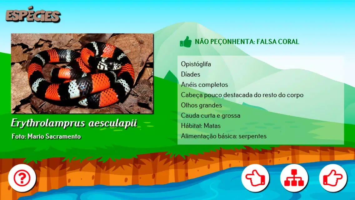 Capturas de pantalla de Cobra Coral