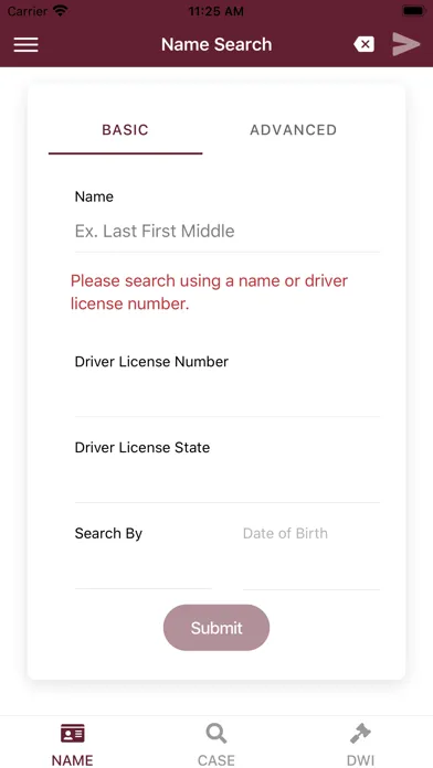 New Mexico Courts Case Lookup Screenshots
