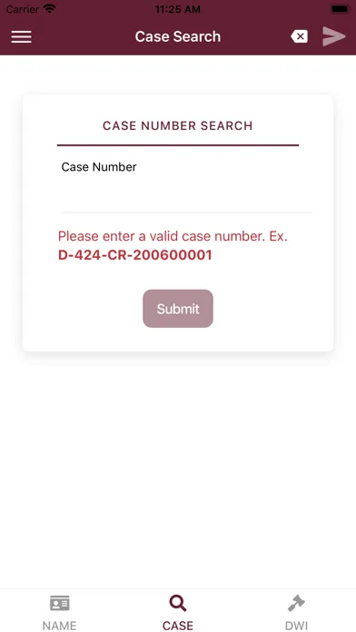 New Mexico Courts Case Lookup Screenshots