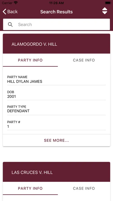 New Mexico Courts Case Lookup Screenshots