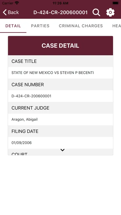 New Mexico Courts Case Lookup Screenshots