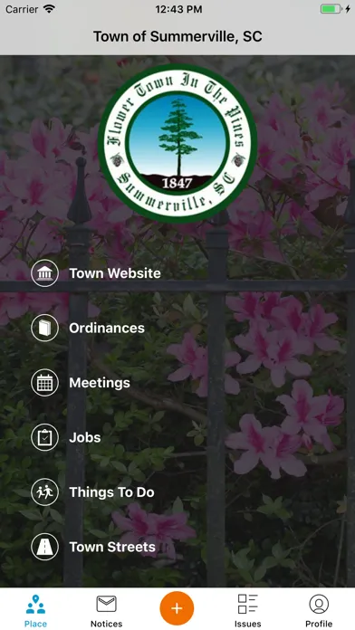 Town of Summerville应用截图