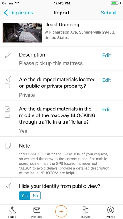 Town of Summerville应用截图