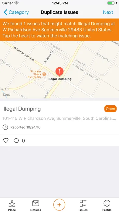 Town of Summerville应用截图