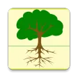 Research Data Archive (USFS)
