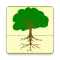 Research Data Archive (USFS)