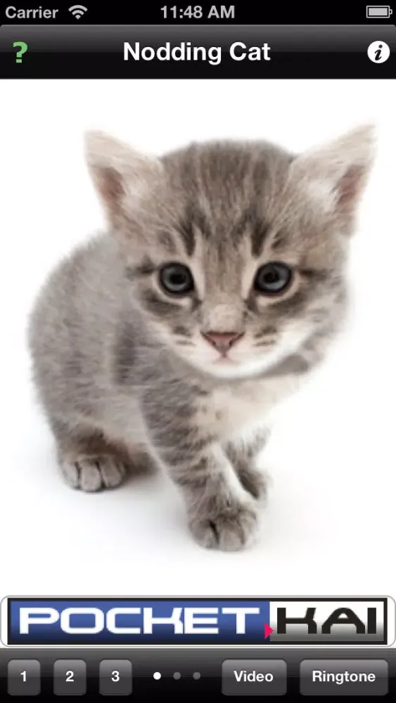 Nodding Cat應用截圖