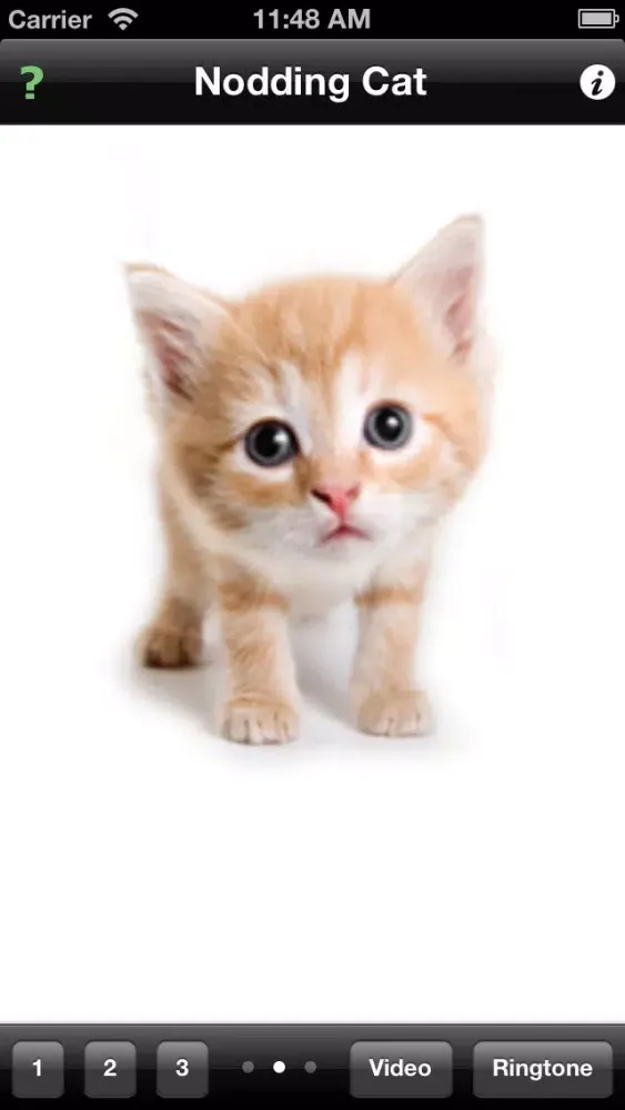 Nodding Cat應用截圖