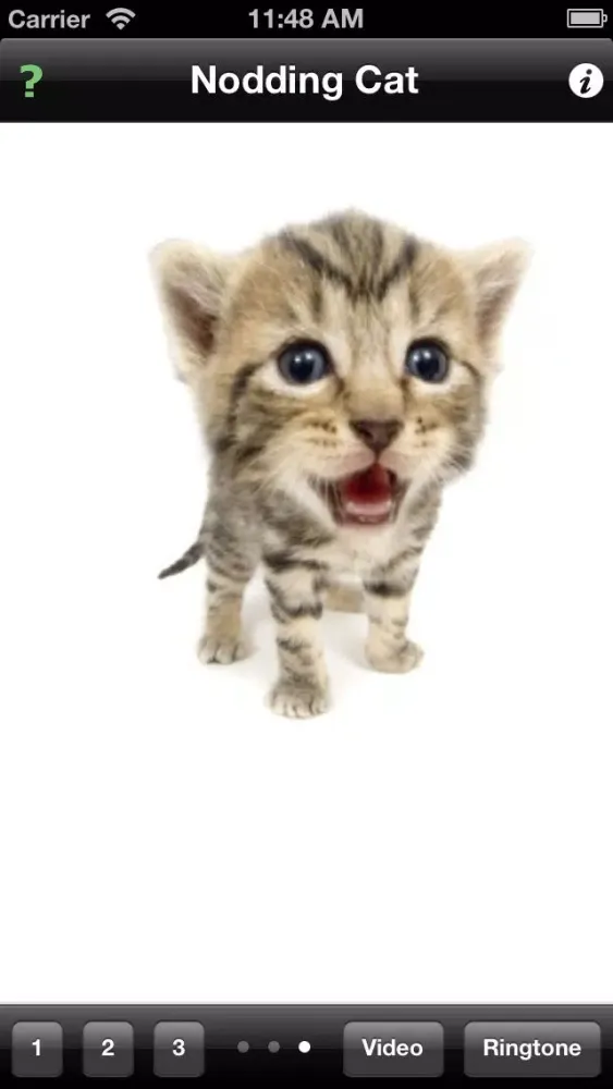 Nodding Cat應用截圖